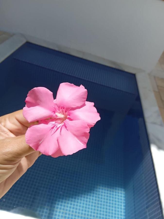 Tamandare Residence Dış mekan fotoğraf